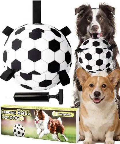 Wofypetny black and white herding ball with straps for puppies and small breeds