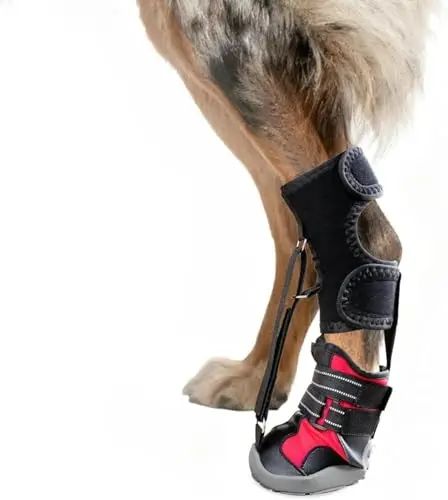 Generic strap-on drop foot brace for dogs with multiple adjustment straps