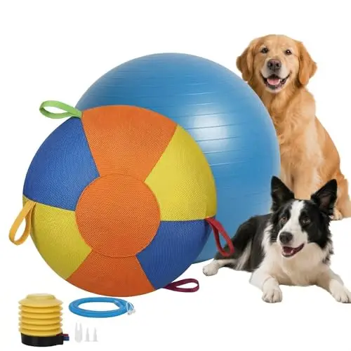 Large blue, orange, and yellow inflatable herding ball for dogs