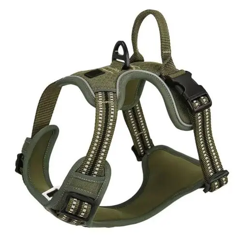 CHEWJOY breathable nylon dog harness for Shiba Inu with reflective design
