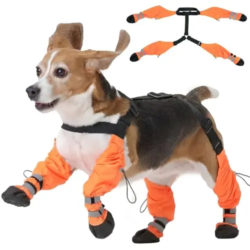Pezluxe Dog Suspender Boots in orange with elastic straps and reflective details