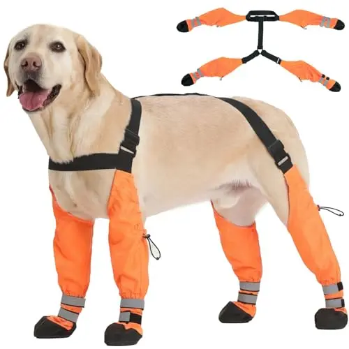Pezluxe orange suspender-style dog boots connecting all four paws