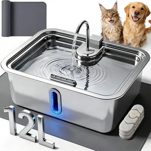 DeftPet large stainless steel electric dog water fountain with filter and silicone mat