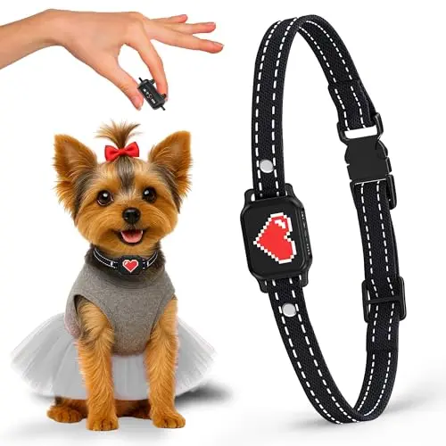 Elecane small dog bark collar with black and red heart design on a comfortable adjustable strap